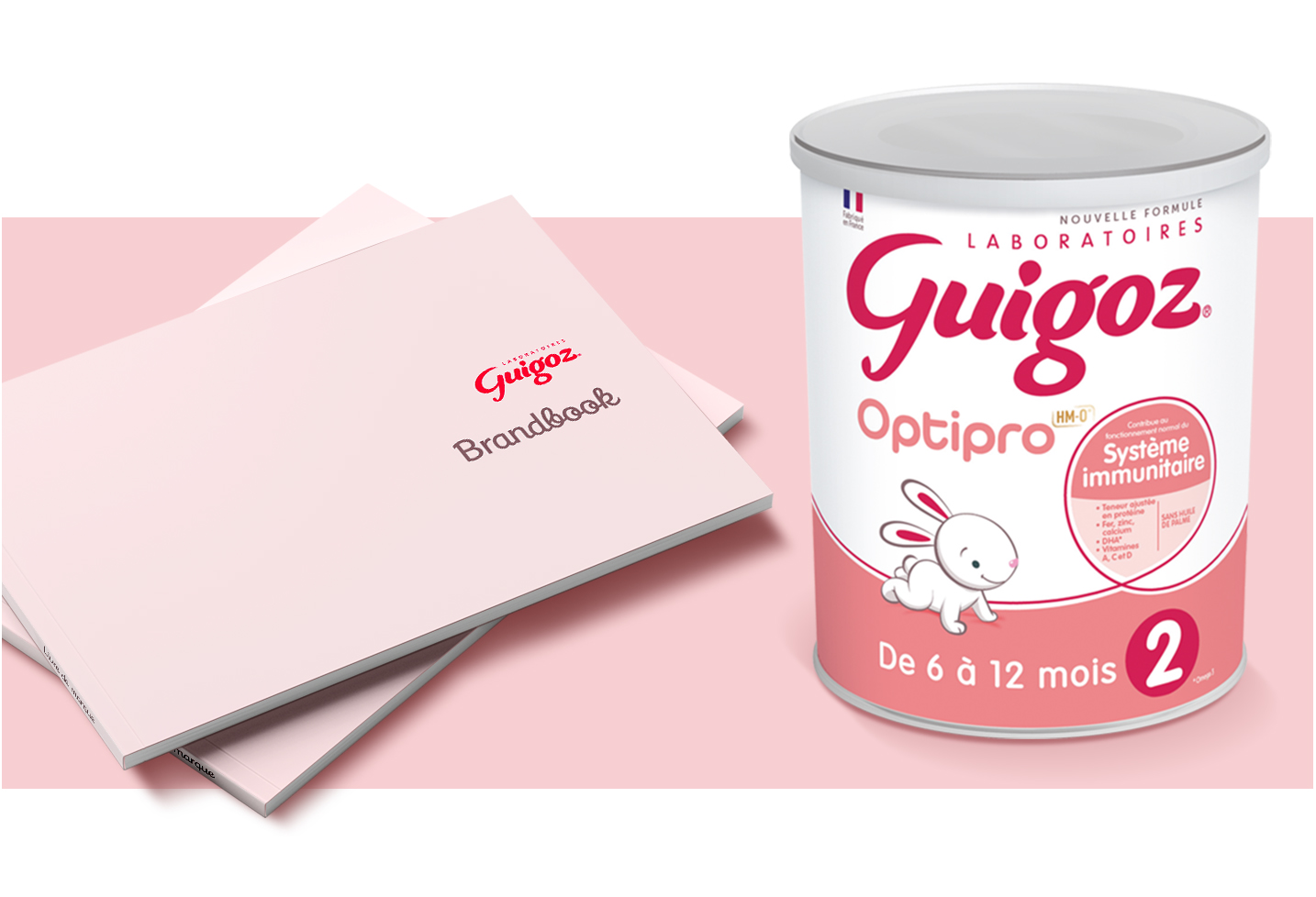 Guigoz_2_ENG Guigoz_2_ENG